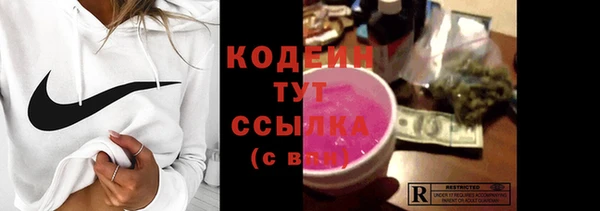 мет Алексин