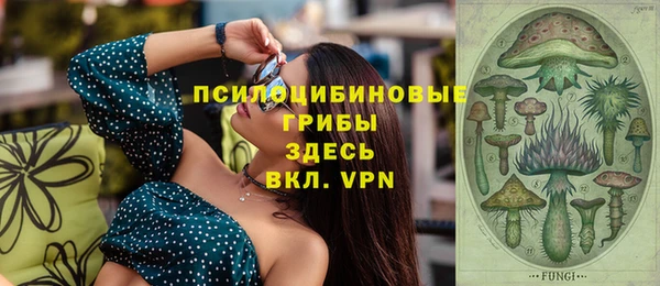 мет Алексин