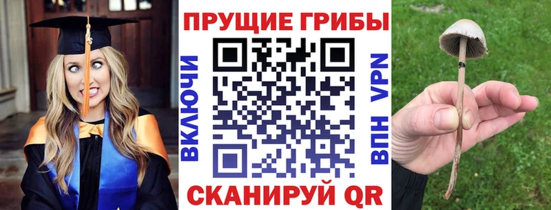 Галлюциногенные грибы Magic Shrooms  Югорск 
